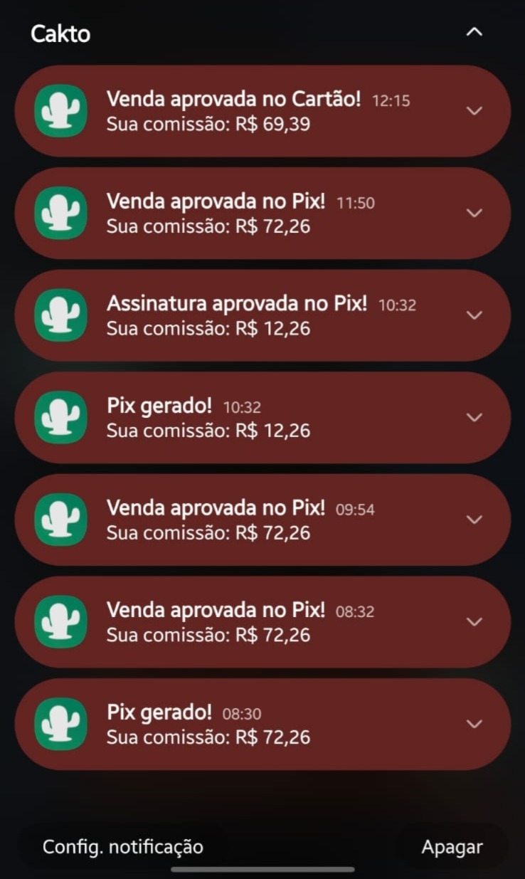 Print de venda real do VillagerIO 2