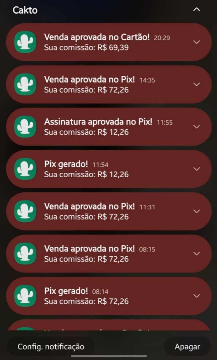 Print de venda real do VillagerIO 3